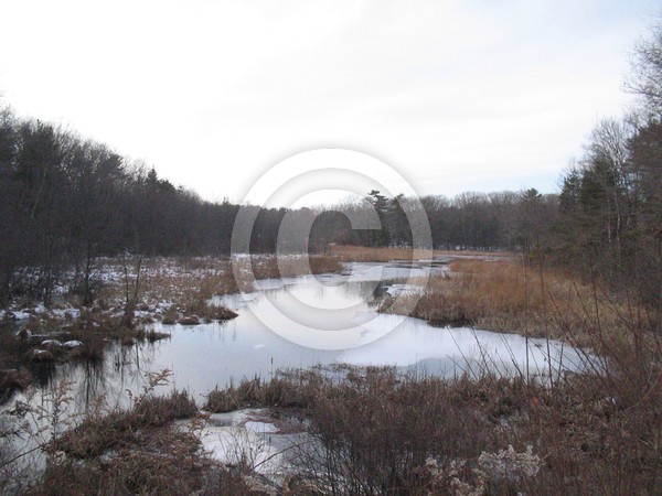 Winter Hike In New England