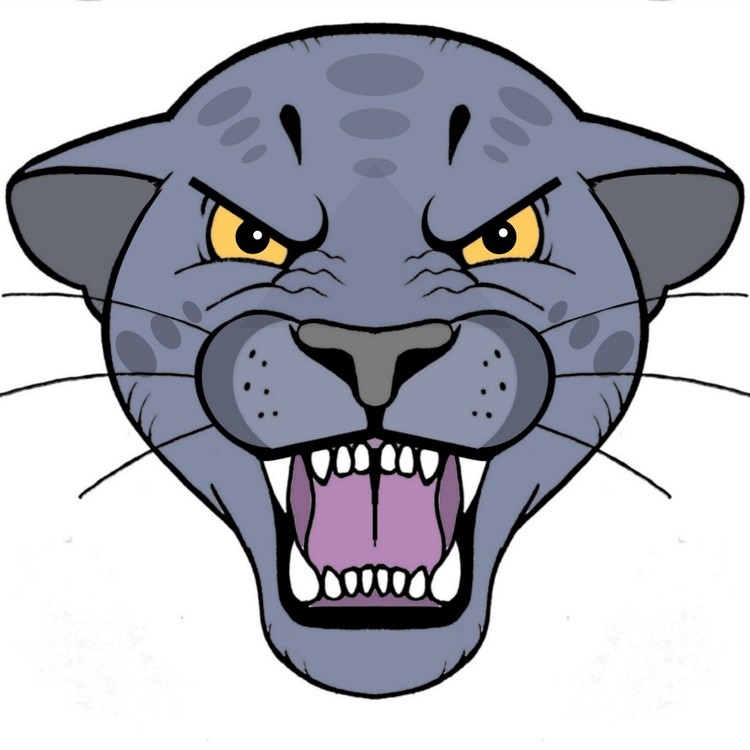 Panther logo