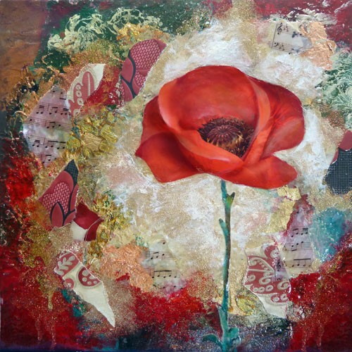 Flowers Enchanting Poppy