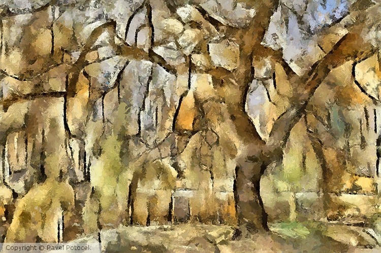 Tree XV