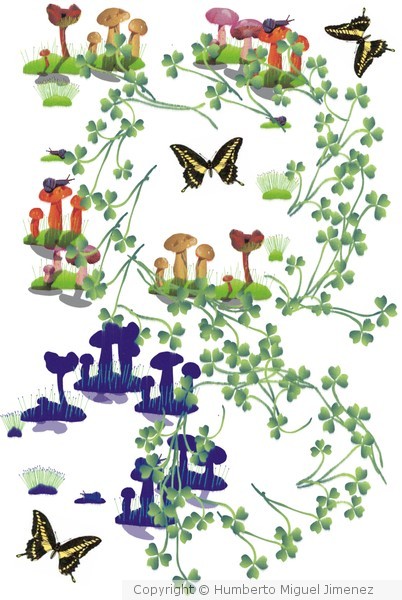 El jardín de mi casa