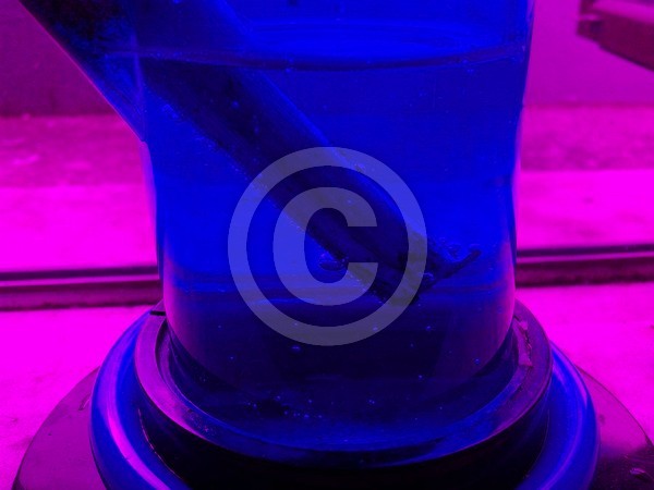 bong
