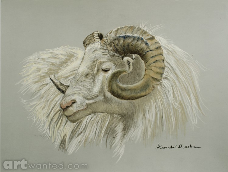 White Ram