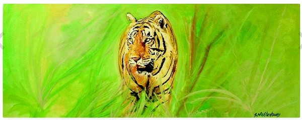 Tiger collection 4