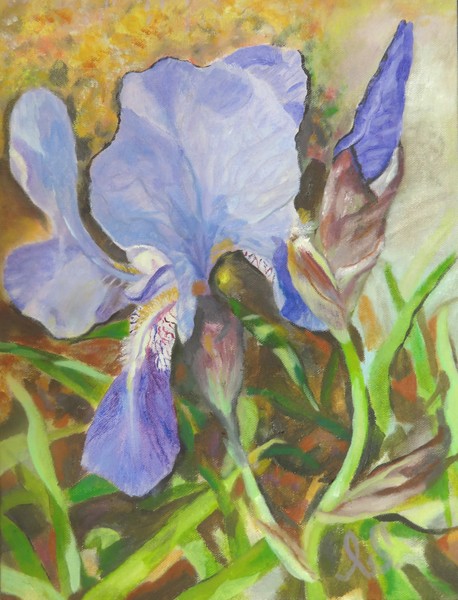 Sassy iris