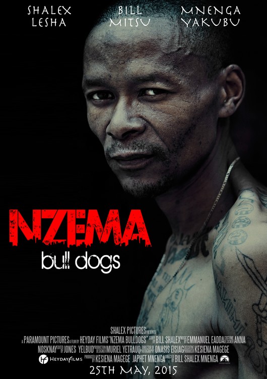 NZEMA POSTER