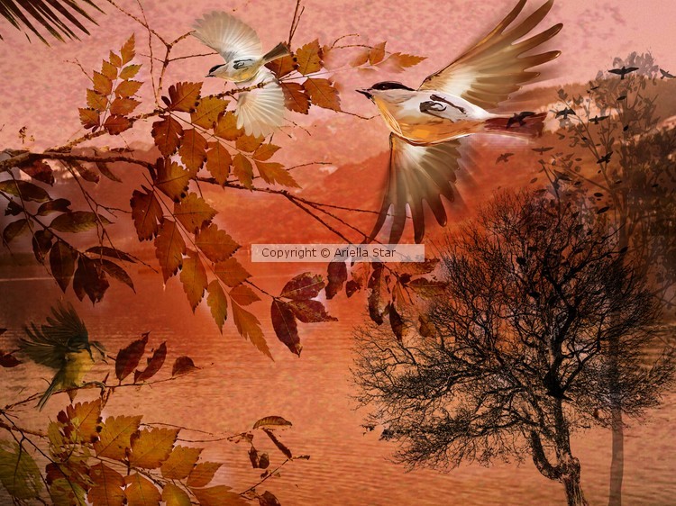 Evening in autumn