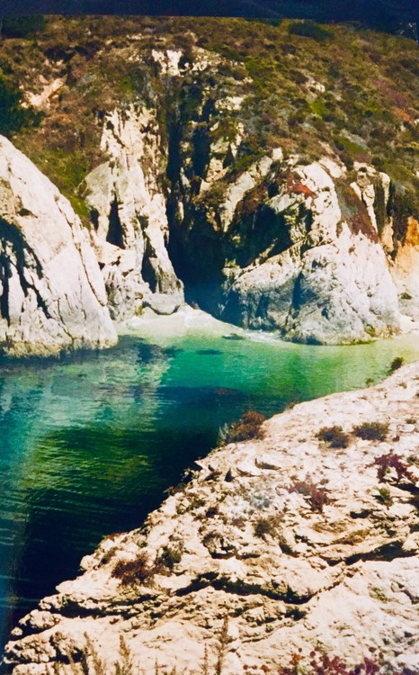 Cove