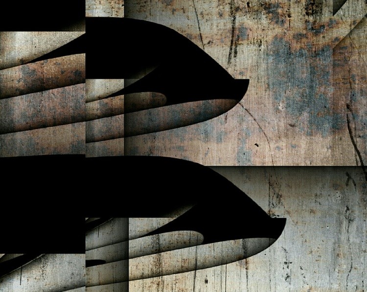 Orcas