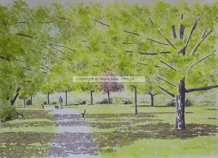 In The Parks Minehead England