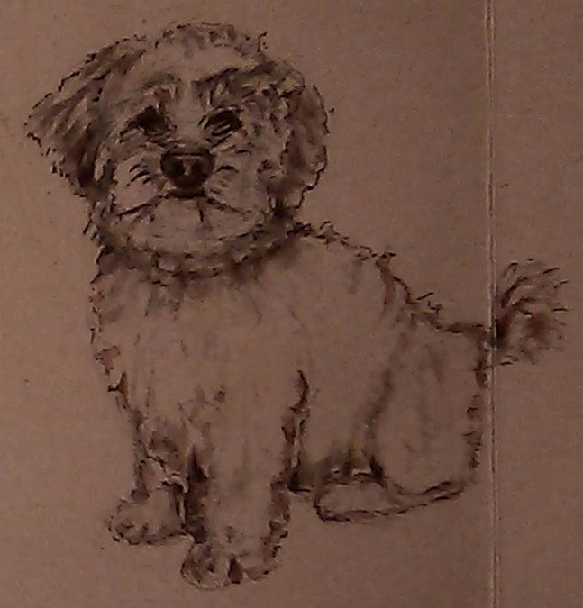 Teddy Drawing