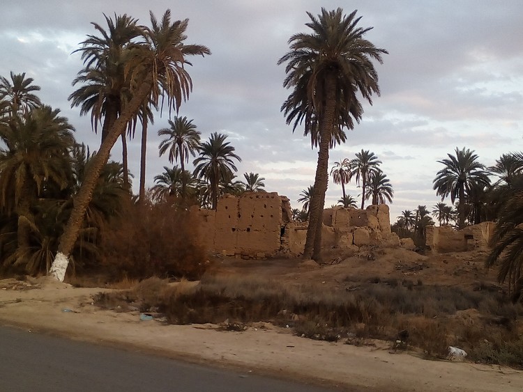 Image in biskra