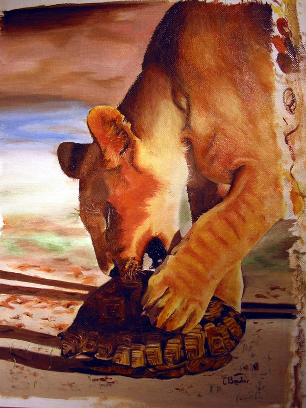 Playfull curious tiger