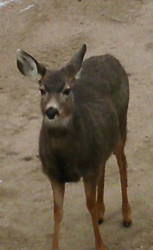 IMAG00041