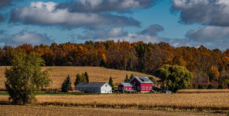Wisconsin Farm - October 18 25 2025
