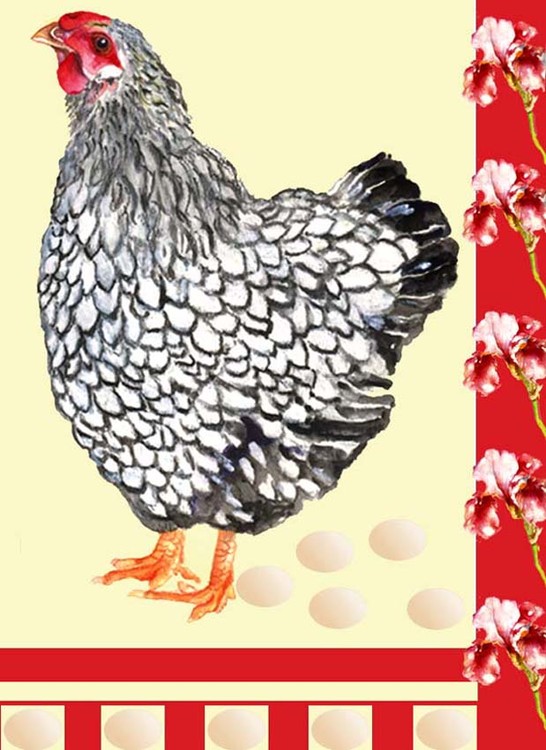 Chicken