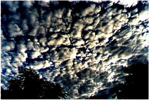 Clouds # 3