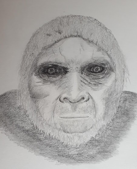 Ape