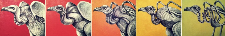Decaying Vultures