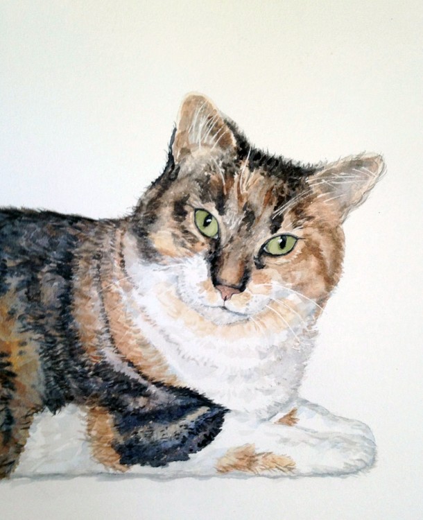 Rosie