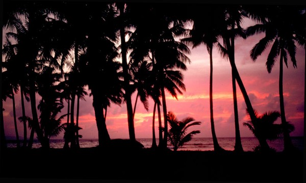 Micronesian Sunset