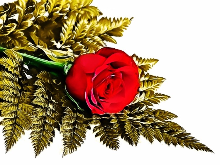 Rose with Gold Leaves