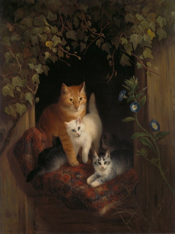 Cats