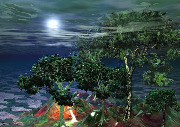 The Magic Forest