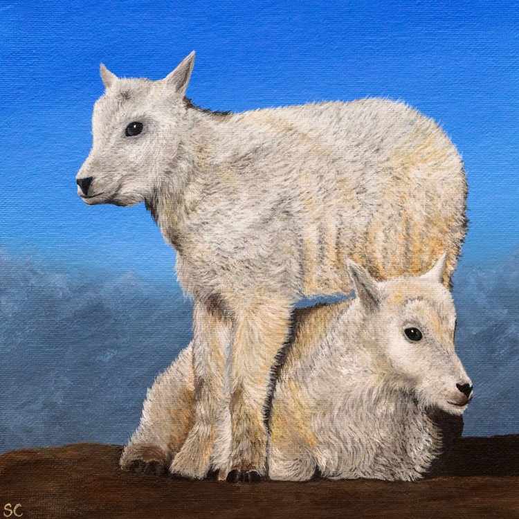 Baby goats