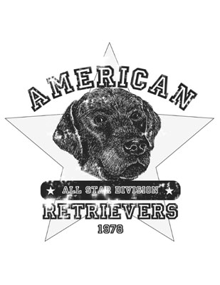 all star retrievers