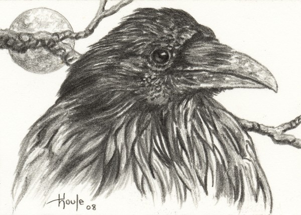 ACEO Raven