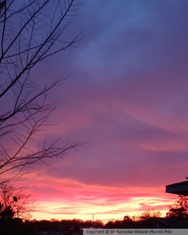 Goodnight Texas