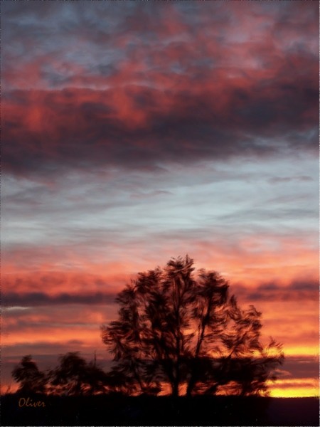 November Vermillion