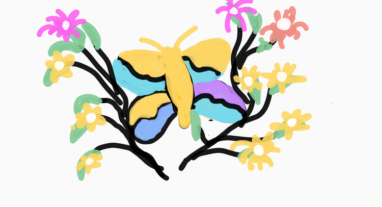Butterfly world 