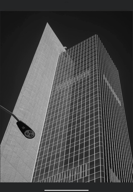 Skyward 