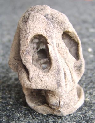 Potato Skull