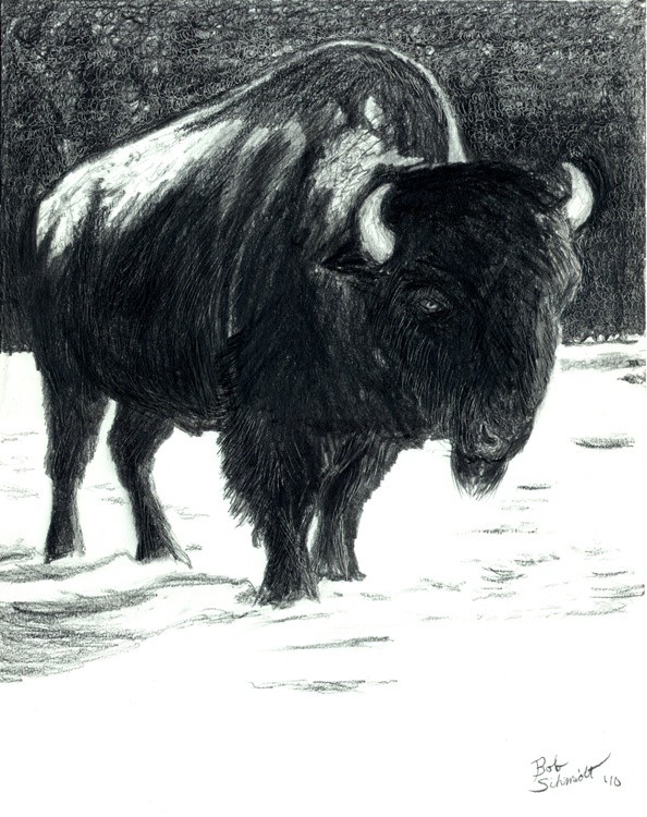 Buffalo