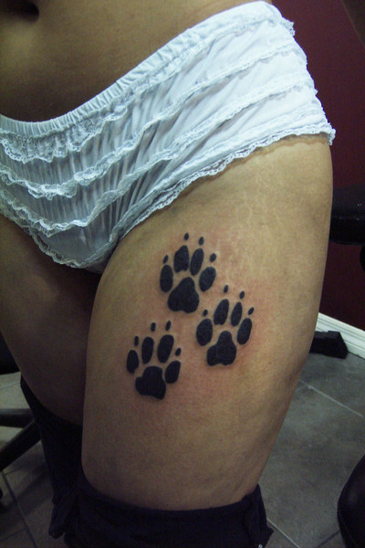 paws