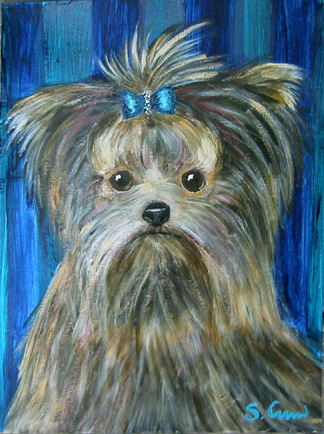 Blue Satin Bow Yorkie