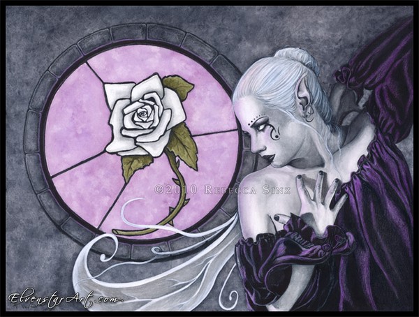 The White Rose