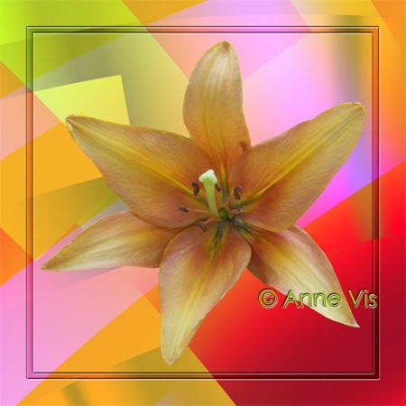 Flower (20)