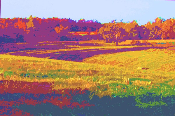 Color Fields