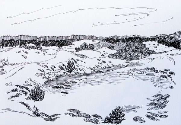 Dune