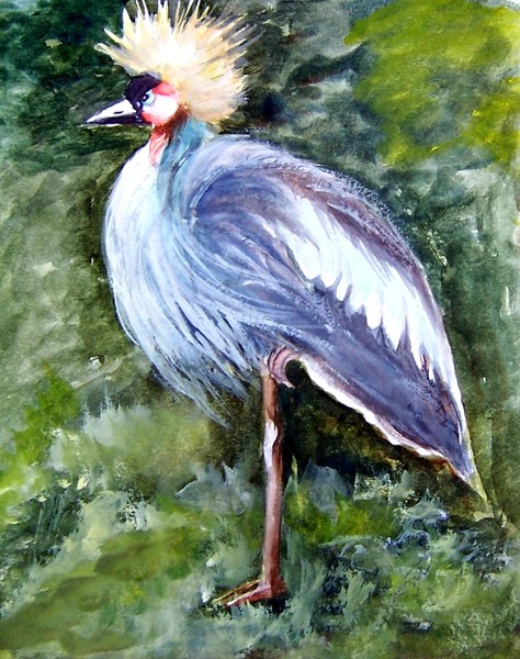 African crane