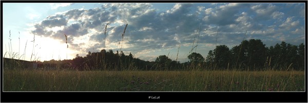 Field