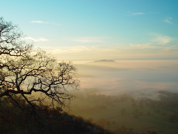 Sunset on the Tule Fog