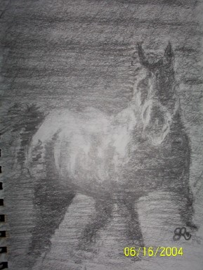 Motion of Horse