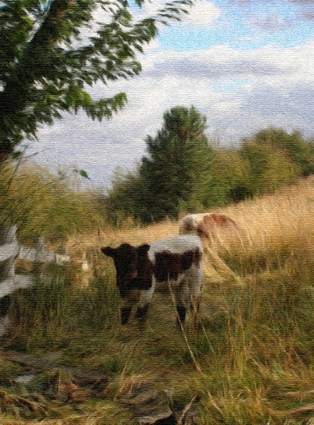 Country Autumn