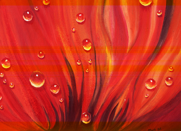 petal with dew