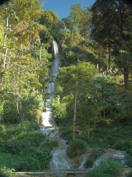 Jungle water